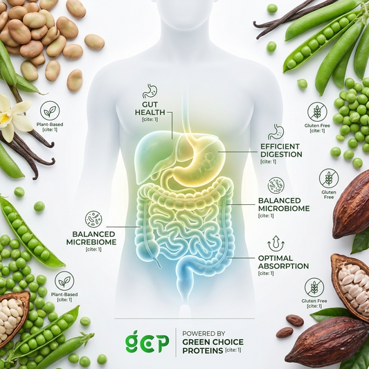The Best Gut-Friendly Proteins for the Indian Market | GC Proteins