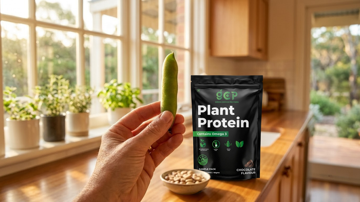 Hand holding a faba bean pod up to the light with a GC Proteins pouch on the counter behind