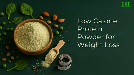 Low Calorie Protein Powder for Weight Loss: Perfect Choice for Fat Loss Goals