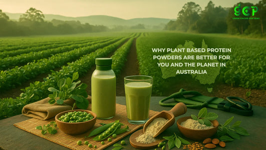 Why Plant Based Protein Powders Are Better for You and the Planet in Australia