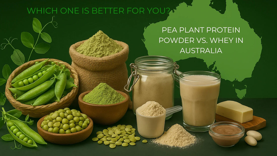Pea Plant Protein Powder vs. Whey in Australia: Which One Is Better for You?