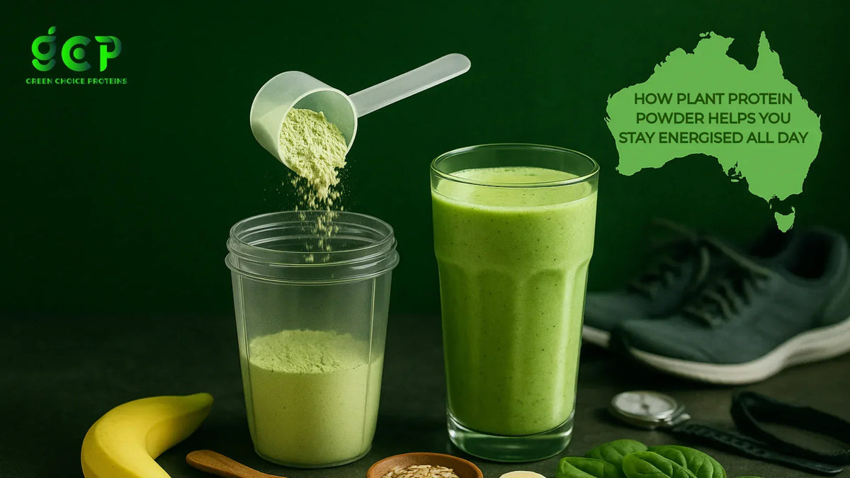 How Plant Protein Powder Helps You Stay Energised All Day