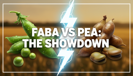 faba vs pea