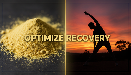 Best Pea Protein Powder Australia: The Ultimate Recovery Guide