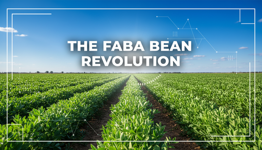 The Complete Guide to Australian Grown Protein: Why Farmers Choose Faba Beans
