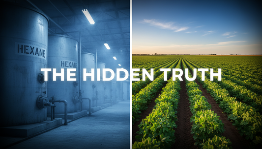 Good Plant Based Protein Powders in Australia: Avoiding Isolate Risks