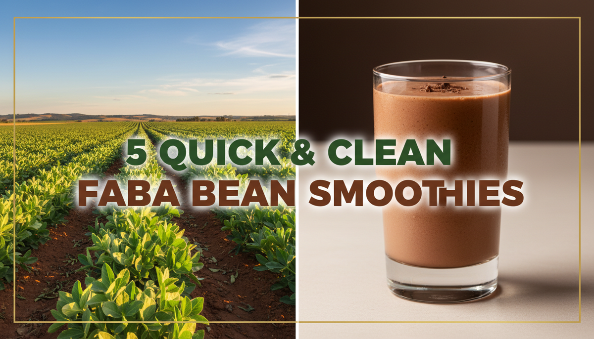 5 Quick Faba Bean Protein Powder Recipes 5 Quick