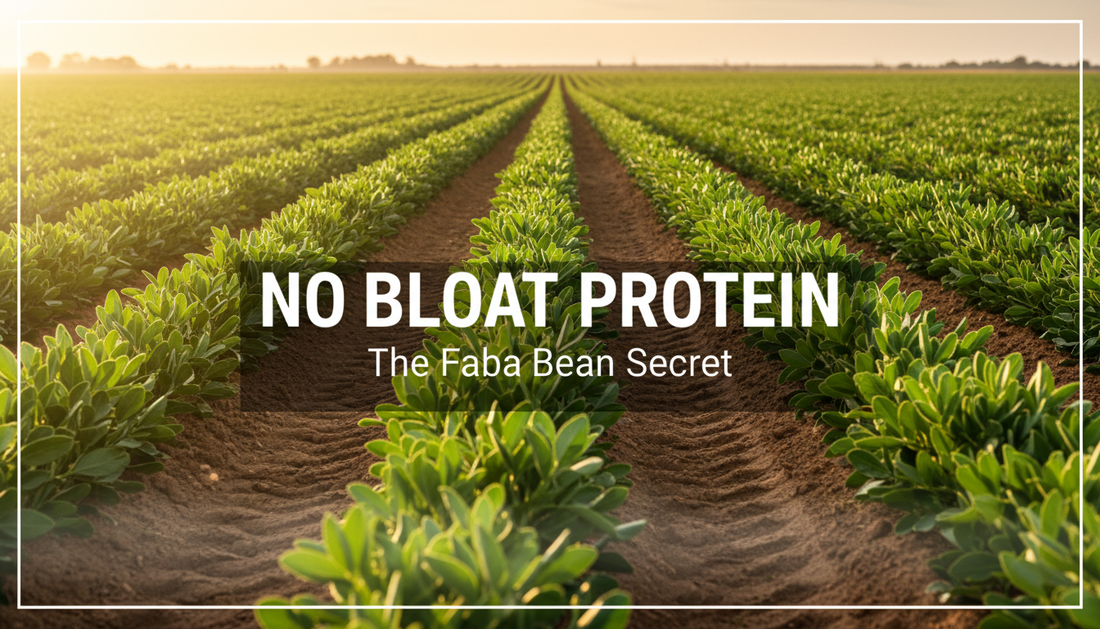 No Bloating Protein Powder: Ultimate Guide (Basics & Tips)