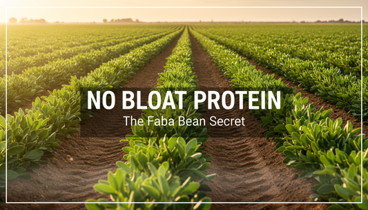 No Bloating Protein Powder: Ultimate Guide (Basics & Tips)