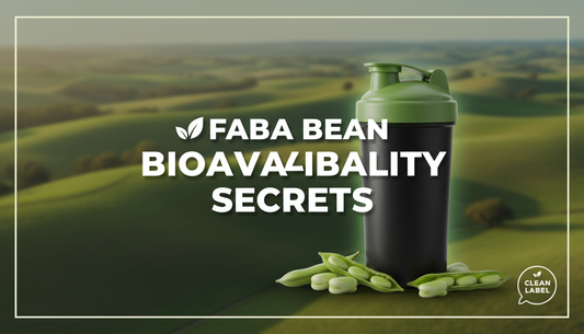Complete Guide to Faba Bean Protein Bioavailability (Basics & Tips)