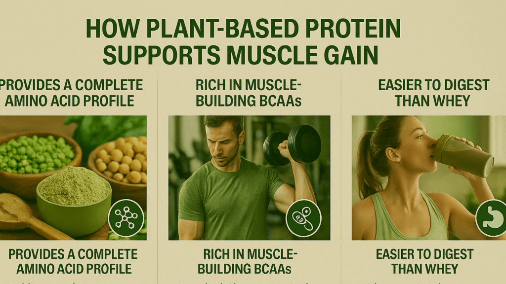 How Plant-Based Protein Supports Muscle Gain